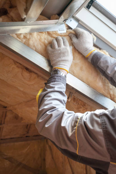 Best DIY Insulation Kits and Guidance in Walthourville, GA
