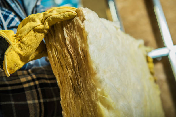 Best Specialized Insulation Services in Walthourville, GA