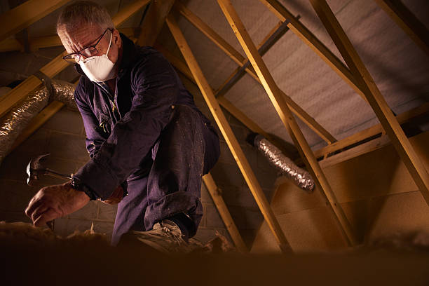 Best Fiberglass Insulation in Walthourville, GA