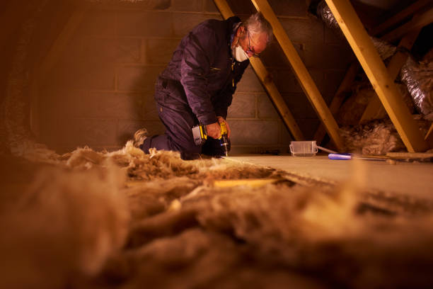 Best Residential Insulation in Walthourville, GA